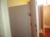 DSC07431 (Large).JPG