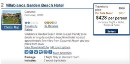 travelocity (Medium).jpg