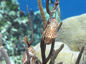 M0010652.jpg