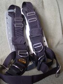 plate and harness 1.jpg