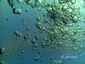 eforie week-end 026.jpg
