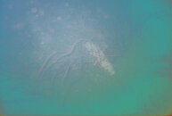 911062-R1-20-18A.jpg