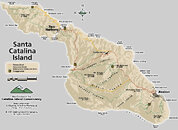 catalina1big.jpg