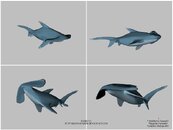 Shark_V2.JPG