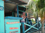 cur_divebus.JPG