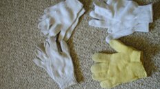 DSC00729.jpg