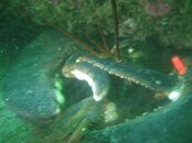 IMG_9103.jpg