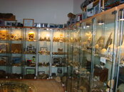 DSC02329.JPG