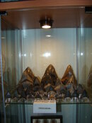 DSC02330.JPG