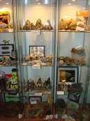 DSC02331.JPG