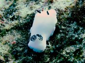 IMG_1116.jpg