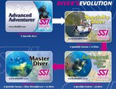 SSI evolution.JPG