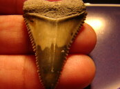 DSC02333.JPG