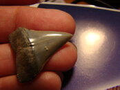 DSC02334.JPG