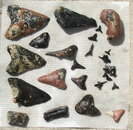 teeth070509.JPG