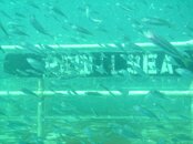 red sea pics 020.jpg