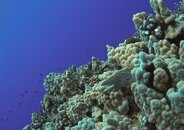 IMG_1465.jpg