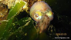 IMG_0089.JPG