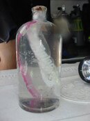 DSC04752.jpg