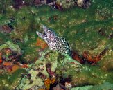 xIMG_0843-8x10.jpg
