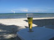 IMG_1842.jpg