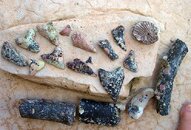 Some first day finds.jpg