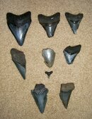 More finds.jpg