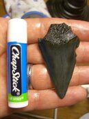 mako arrowhead after.jpg