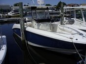 SDC11431.jpg