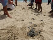 IMG_0692.jpg