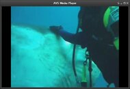 Bad Diver.jpg