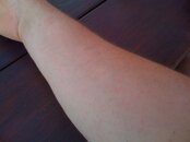 IMG_0435.jpg