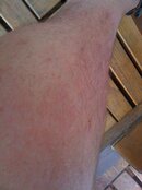 IMG_0433.jpg