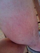 IMG_0432.jpg