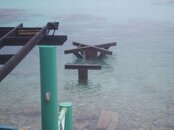 IMG_0203.jpg