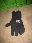 IMG_6645.jpg