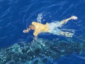 whaleshark14.jpg