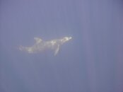 PICT0021.jpg