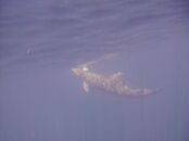 PICT0022.jpg