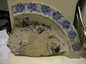 IMG_2466.jpg
