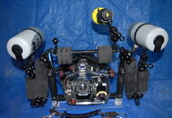 DSC_1019.jpg
