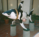 CowShark.jpg