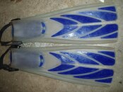 P9150225-1.jpg