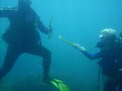 SnorkelDrill (Small).JPG