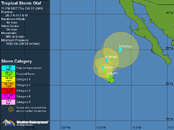 Tropical Storm Olaf.gif