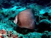 PICT0420.jpg