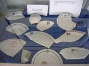 DSCN7934.jpg