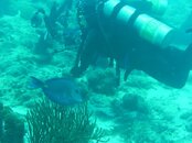 PIC_0614.jpg
