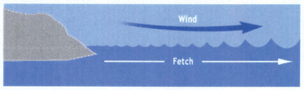 Wave-Fig-2.jpg