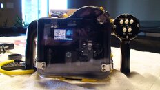 DSC00060_50.jpg